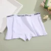 Seamless Women Cotton Boxers Underwear Ice Silk Shorts