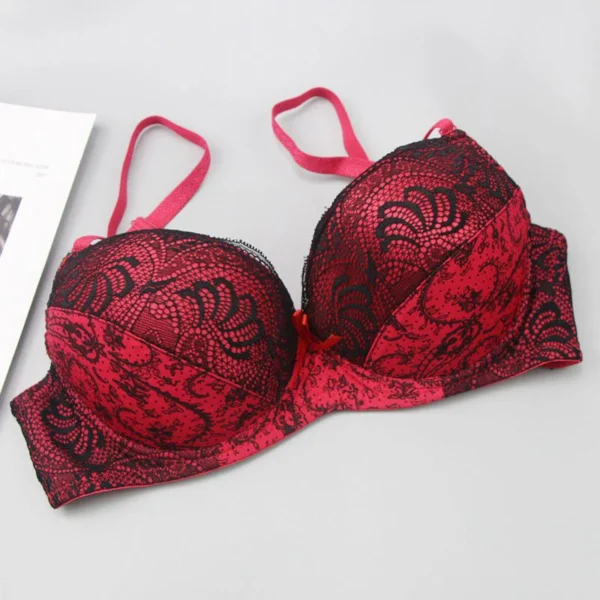 New BCDE Cup Embroidered Lace Up Bras Plus Size Women
